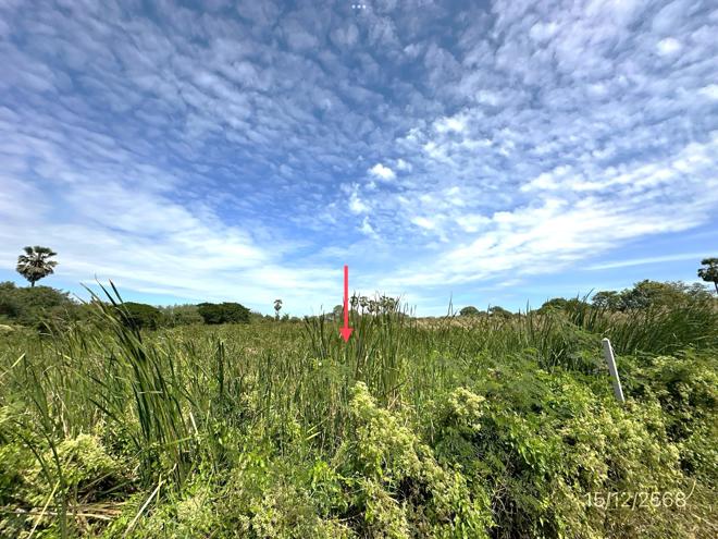 picture LAND 30530.7 Sq.w. Muang Nakhon Pathom Nakhon Pathom for 107.8M - 15/33
