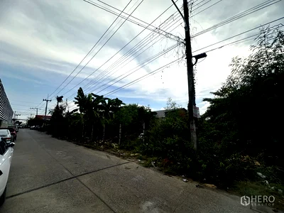 Land for sale Lamlukka Khlong Si : Land 159 sqw in Lat Sawai, Lam Luk Ka, Pathum Thani