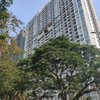 listing thumbnail image 16