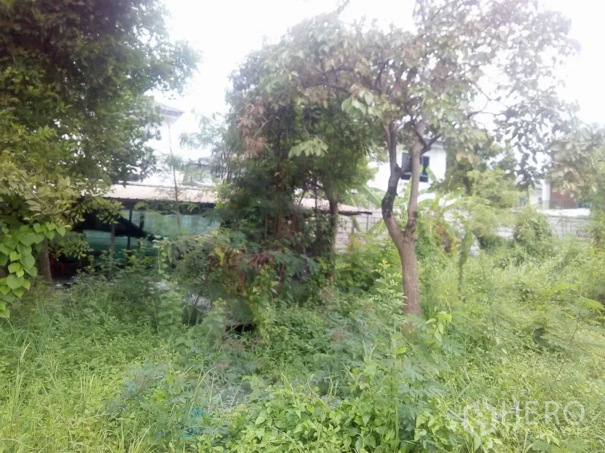 picture Land 850 sqw in Khlong Sam Wa, Bangkok - 10/12