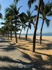 listing thumbnail image 26