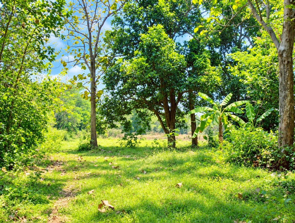 รูป ขายที่ดิน 17 ไร่ 84.5 ตร.ว. เมืองเก่า ขอนแก่น ทำเลดี เหมาะทำโครงการ ลงทุนระยะยาว - รูปที่ 6/10