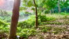 listing thumbnail image 6