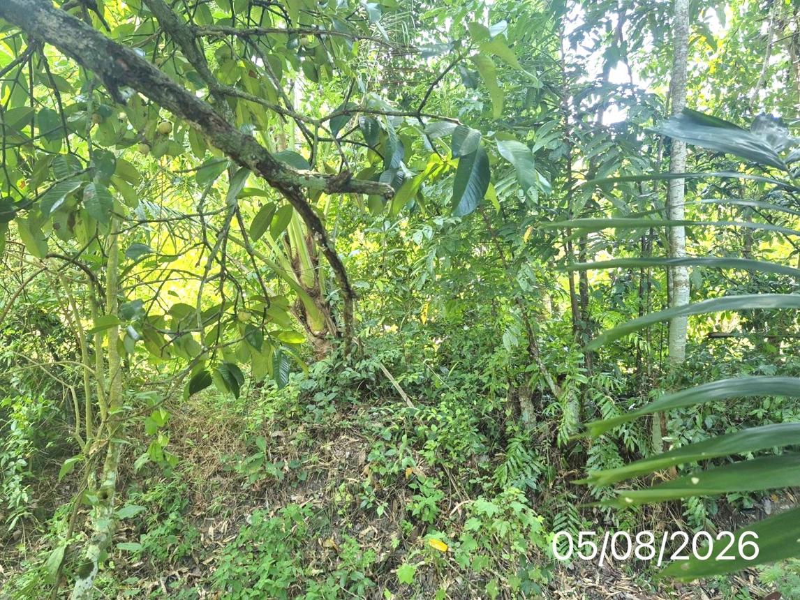 รูป บ้านเดี่ยว 137 ตร.วา ร่อนพิบูลย์ นครศรีธรรมราช 1.1M - รูปที่ 20/25