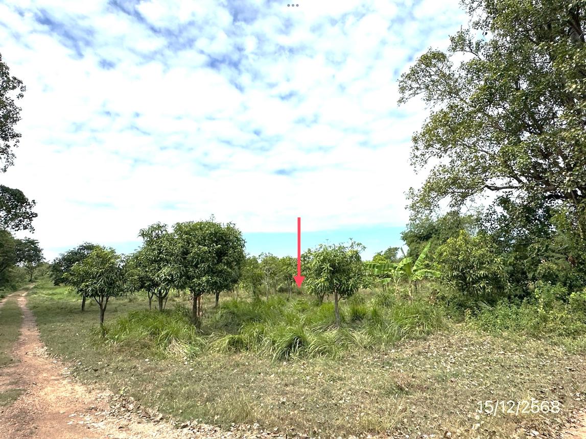 picture LAND 30530.7 Sq.w. Muang Nakhon Pathom Nakhon Pathom for 107.8M - 17/33