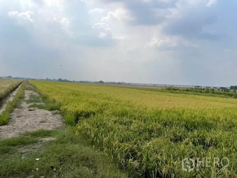 รูป ที่ดิน 16000 ตรว ลำลูกกา ลำลูกกา ปทุมธานี - รูปที่ 2/2