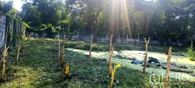 Land for sale BITEC Bang Na : Land 317 sqw in Samrong Nuea, Mueang Samut Prakan, Samut Prakan BTS Bearing