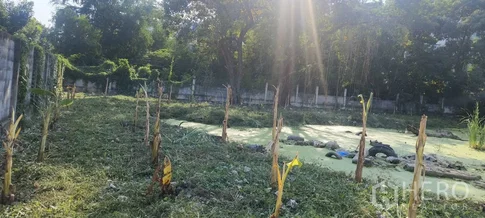 Land 317 sqw in Samrong Nuea, Mueang Samut Prakan, Samut Prakan BTS Bearing