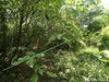 listing thumbnail image 17