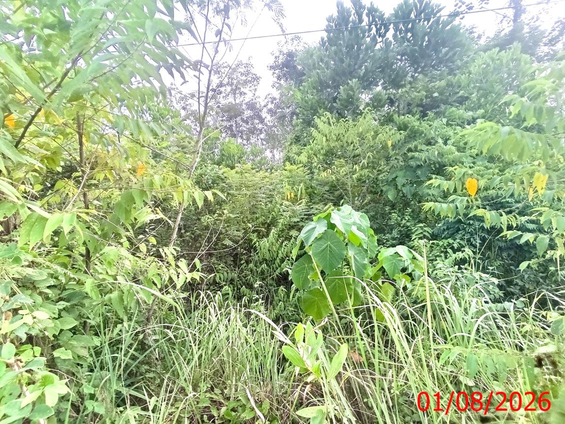 picture LAND 152.6 Sq.w. Hat Yai Songkhla for 916,000 - 13/17