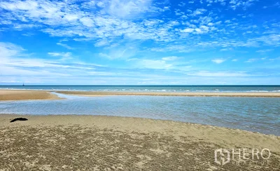 เช่าที่ดิน เพชรบุรี : ที่ดิน 400 ตรว แหลมผักเบี้ย บ้านแหลม เพชรบุรี