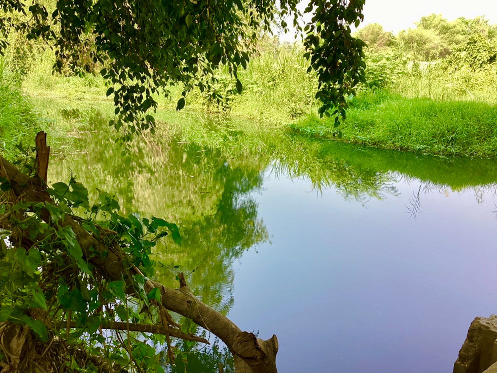 รูป (ขายที่ดินพร้อมเก็บเกี่ยวผลผลิต 80,000-100,000 /ด.) ที่ดินสวนยางพาราพร้อมพืชเศรษฐกิจ 27ไร่เศษ ต.ท่าปลา อุตรดิถ์ มีห้วยน้ำลำคลองไหลรอบที่ดิน - รูปที่ 27/29
