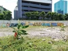 listing thumbnail image 8
