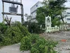 listing thumbnail image 1