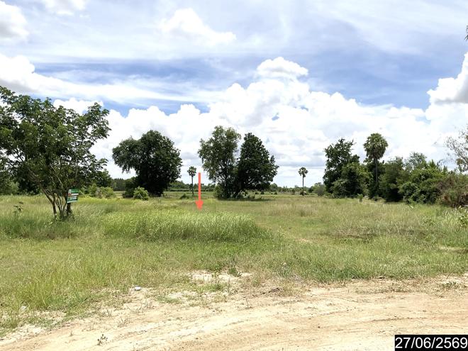 รูป ที่ดินว่างเปล่า 1482 ตร.วา ชุมพวง นครราชสีมา 3.3M - รูปที่ 8/25