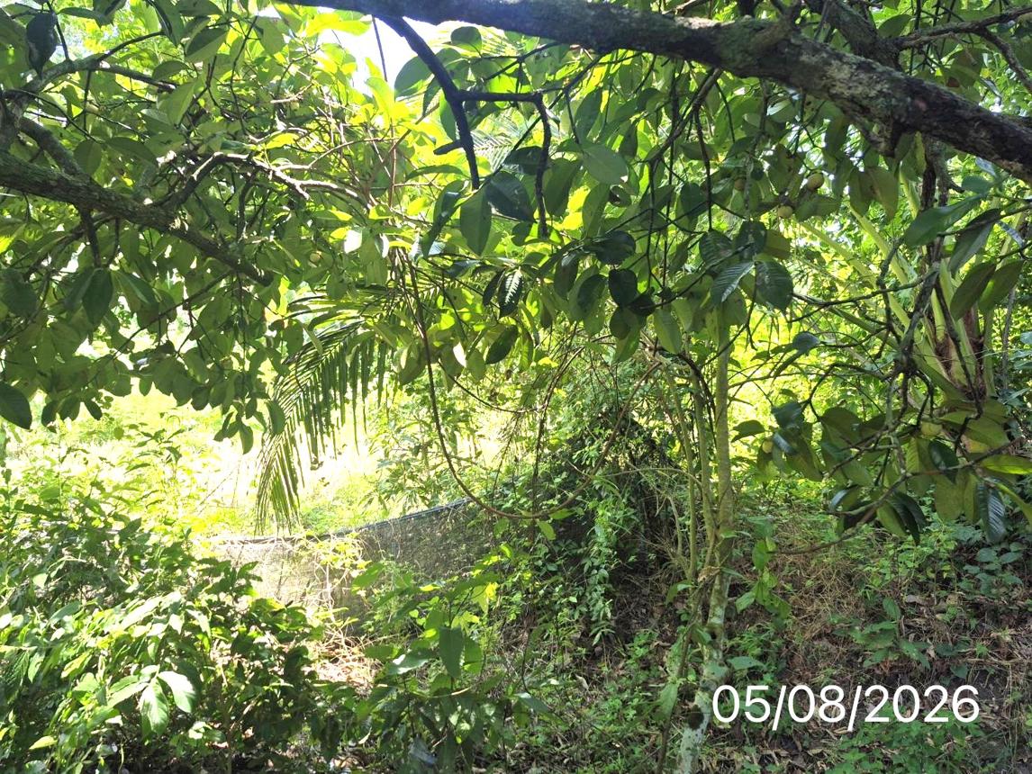 รูป บ้านเดี่ยว 137 ตร.วา ร่อนพิบูลย์ นครศรีธรรมราช 1.1M - รูปที่ 19/25
