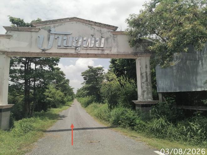 รูป ที่ดินว่างเปล่า 850 ตร.วา บ้านยุพนัย แก่งคอย สระบุรี 1.5M - รูปที่ 9/21
