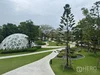 listing thumbnail image 36
