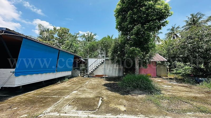 รูป บ้านเดี่ยว ที่ดิน 1 ไร่ 3 งาน คลองชะโด สามชุก สุพรรณบุรี วิวสวย ราคาถูกมาก - รูปที่ 6/19
