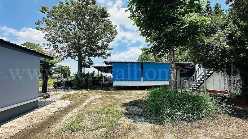 รูป บ้านเดี่ยว ที่ดิน 1 ไร่ 3 งาน คลองชะโด สามชุก สุพรรณบุรี วิวสวย ราคาถูกมาก - รูปที่ 5/19