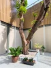 listing thumbnail image 12