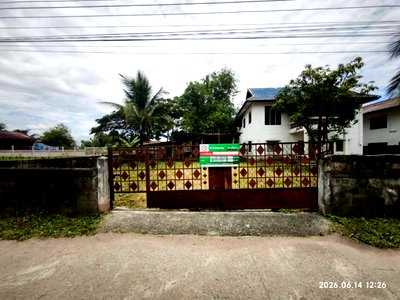 ขายบ้านเดี่ยว : บ้านเดี่ยว 156.5 ตร.วา ดอกคำใต้ พะเยา 1.4M
