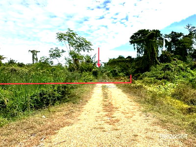 Land for sale Nakhon Pathom : LAND 3735 Sq.w. Muang Nakhon Pathom Nakhon Pathom for 8.4M