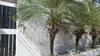 listing thumbnail image 29