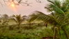 listing thumbnail image 19