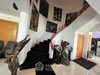 listing thumbnail image 19