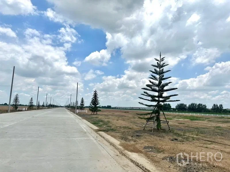 picture Land 800 sqw in Lam Luk Ka, Pathum Thani - 1/4