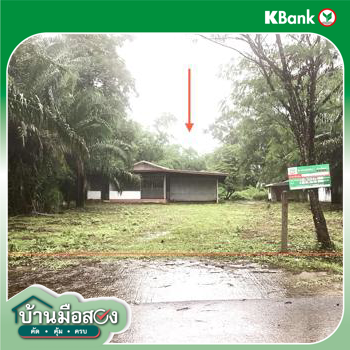 รูป บ้านเดี่ยว 986 ตร.วา เซกา บึงกาฬ 3.1M - รูปที่ 23/25