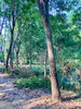 listing thumbnail image 21