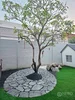 listing thumbnail image 14