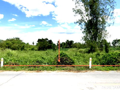 LAND 563 Sq.w. Lat Yao Nakhon Sawan for 352,000