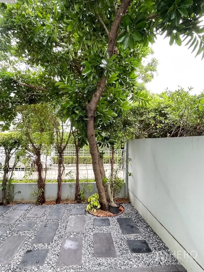 รูป ให้เช่า บ้านเดี่ยว 3 ห้องนอน Chaiyaphruek Bangna KM 7 (กม.7) บางแก้ว บางพลี สมุทรปราการ - รูปที่ 21/21