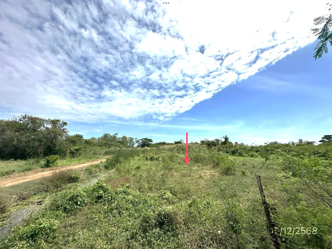 picture LAND 30530.7 Sq.w. Muang Nakhon Pathom Nakhon Pathom for 107.8M - 16/33