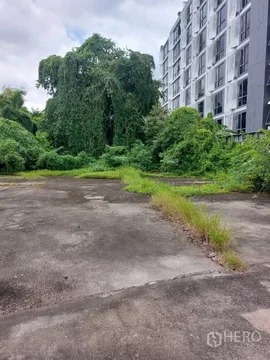 Land 431 sqw in Phra Khanong, Khlong Toei, Bangkok BTS On Nut