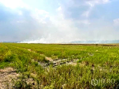 Land for sale Lam Luk Ka : Land 16000 sqw in Lam Luk Ka, Lam Luk Ka, Pathum Thani