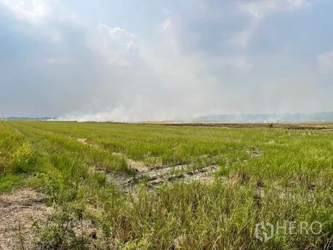 Land 16000 sqw in Lam Luk Ka, Lam Luk Ka, Pathum Thani