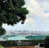 listing thumbnail image 4