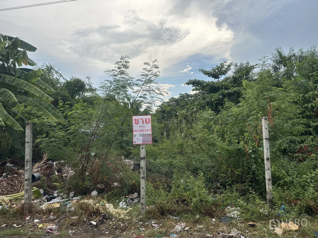 picture Land 159 sqw in Lat Sawai, Lam Luk Ka, Pathum Thani - 2/4