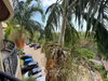 listing thumbnail image 20