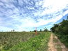 listing thumbnail image 25