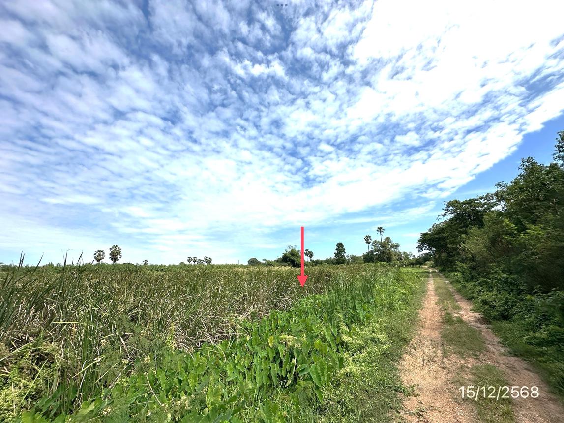 picture LAND 30530.7 Sq.w. Muang Nakhon Pathom Nakhon Pathom for 107.8M - 26/33