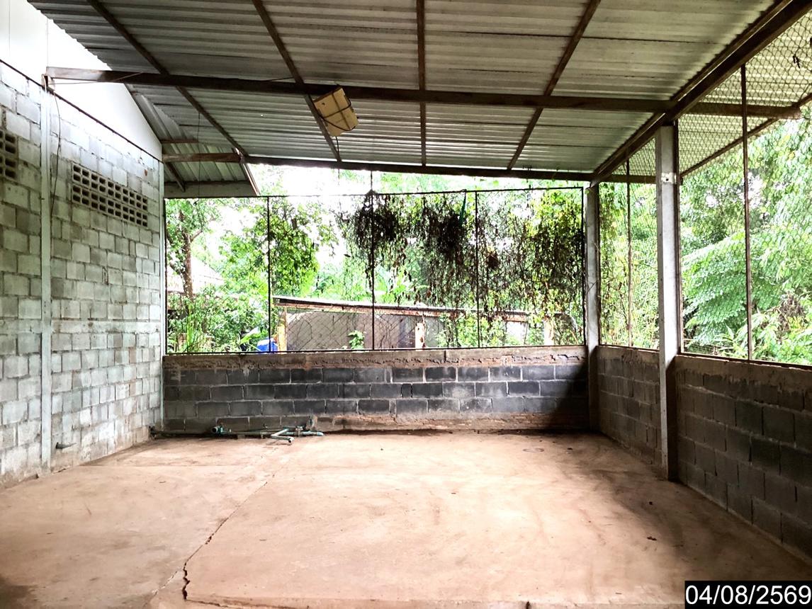 รูป บ้านเดี่ยว 986 ตร.วา เซกา บึงกาฬ 3.1M - รูปที่ 18/25