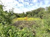 listing thumbnail image 27