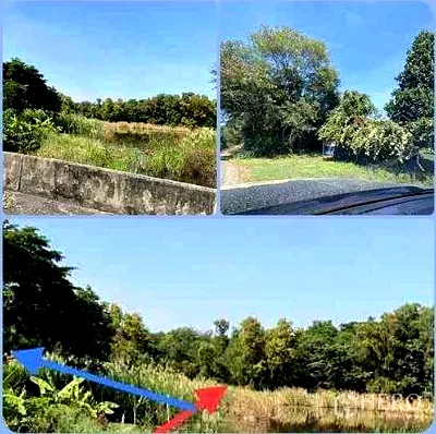 Land for rent พหลโยธิน 54/1 : Land 419 sqw in O Ngoen, Sai Mai, Bangkok