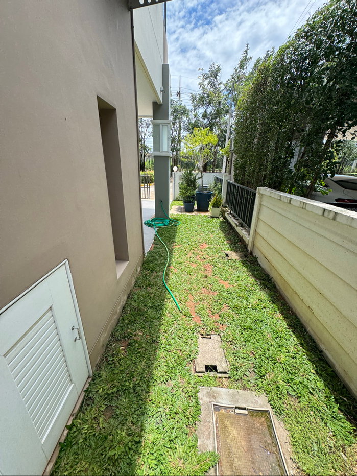 picture House for rent, Leonio Srichan Village. - 4/28