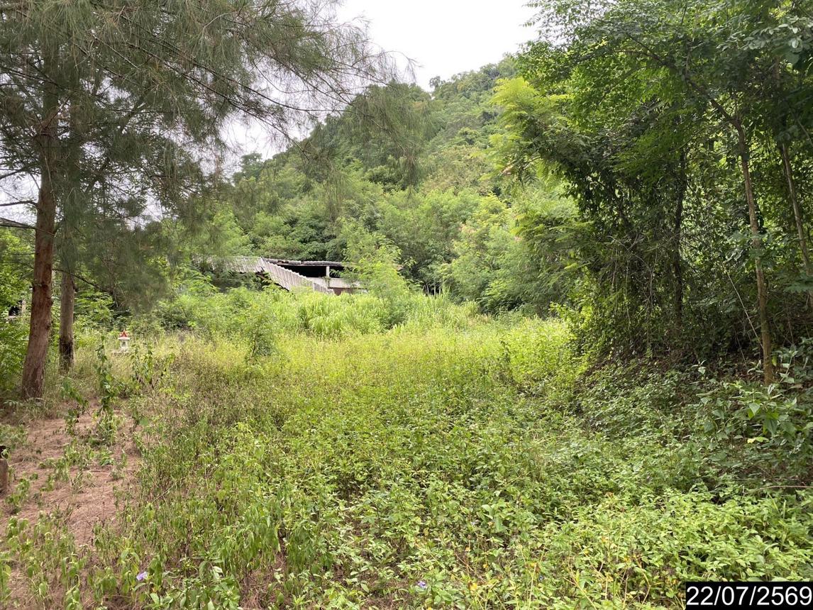 picture HOME 336 Sq.w. Wang Saphung Loei for 928,000 - 16/23